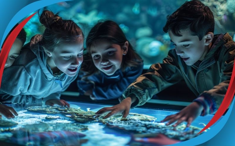 Enhance Education with Interactive Learning at the Science Museum